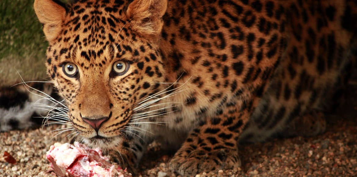 ZOO Liberec – rodinný výlet